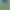 McpDotNet