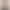 Cursor Self-Meta.