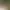 YouTube Transcript MCP Server