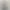 Shopify MCP Server
