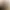 Skynet-MCP (THIS PROJECT IS A WORK IN PROGRESS)